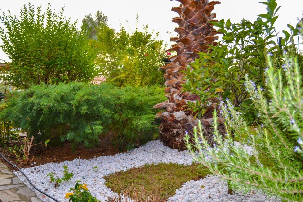 Nikos Stone House 80M From The Beach With Wifi Γερακινή Εξωτερικό φωτογραφία