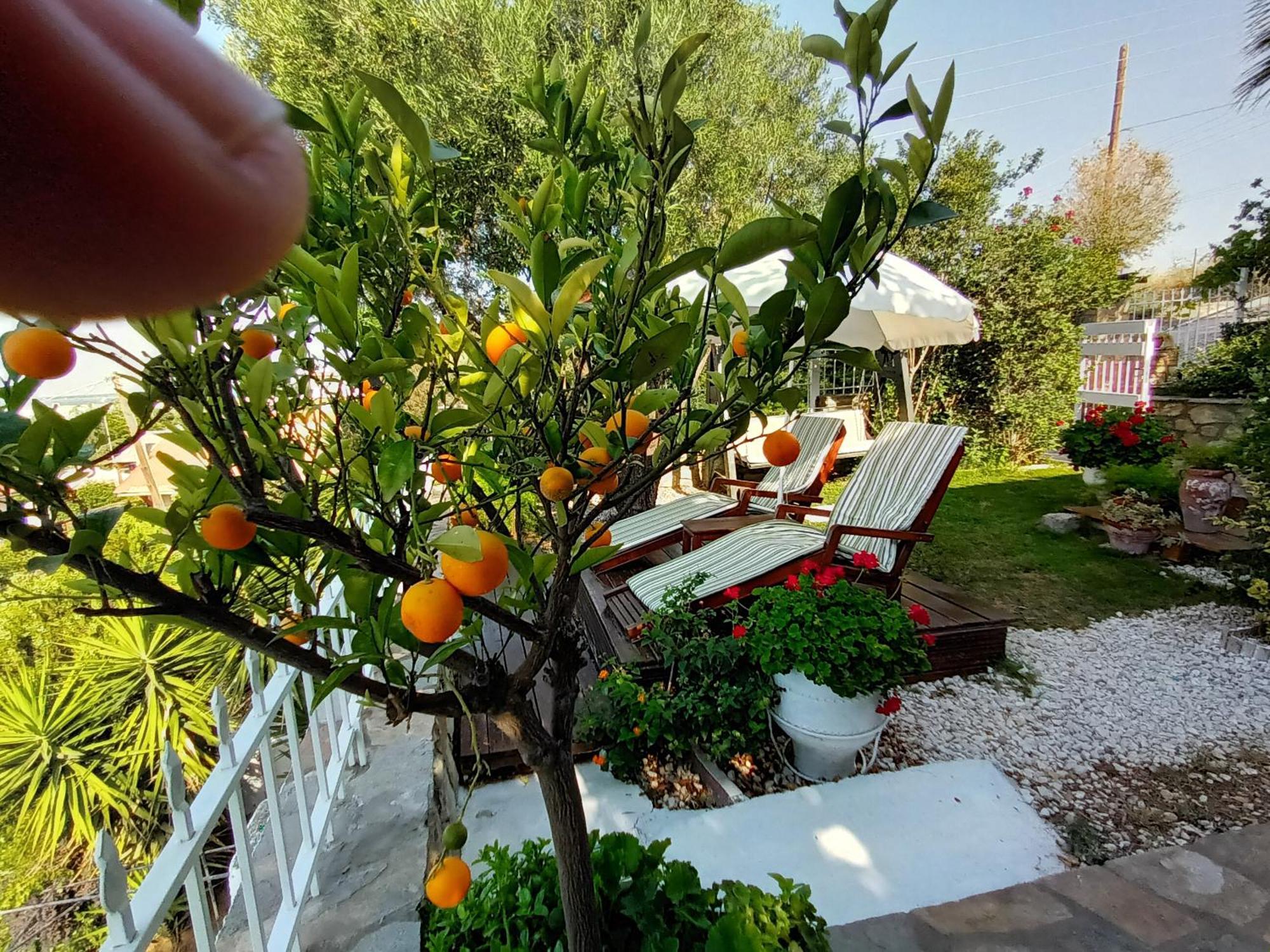 Nikos Stone House 80M From The Beach With Wifi Γερακινή Εξωτερικό φωτογραφία
